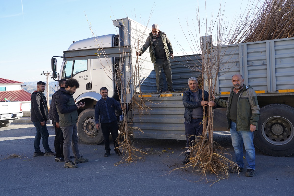 Kulp İlçesinde Yaş Koza Üreticilerine 1000 Adet Dut Fidanı Ücretsiz Olarak Dağıtıldı.